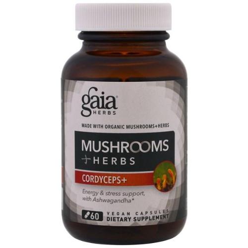 adaptogen performace - mushrooms Image 1