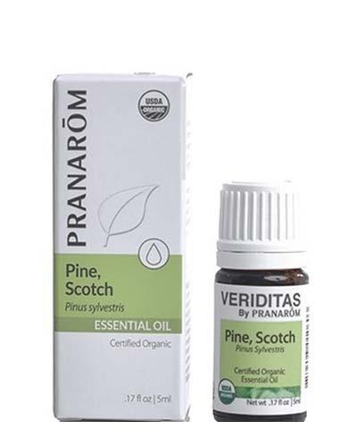 scotch pine 5ml Image 1