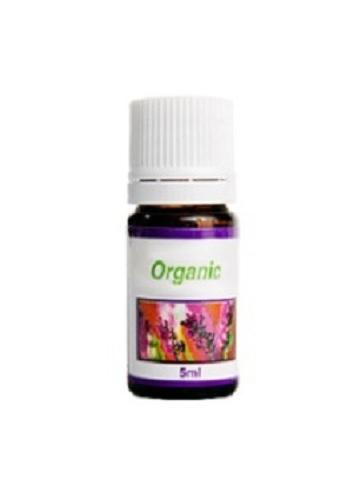 eucalyptus globulus 30ml Image 1