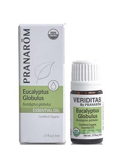 eucalyptus globulus 15ml Image 1