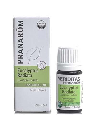 eucalyptus radiata 5ml Image 1